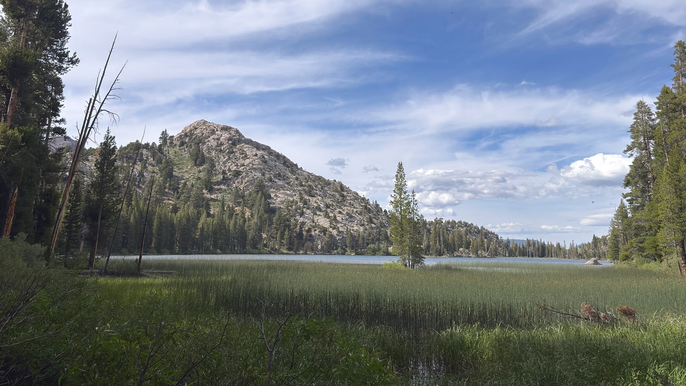 Mountain peak above a lake, trees and alpine meadow.