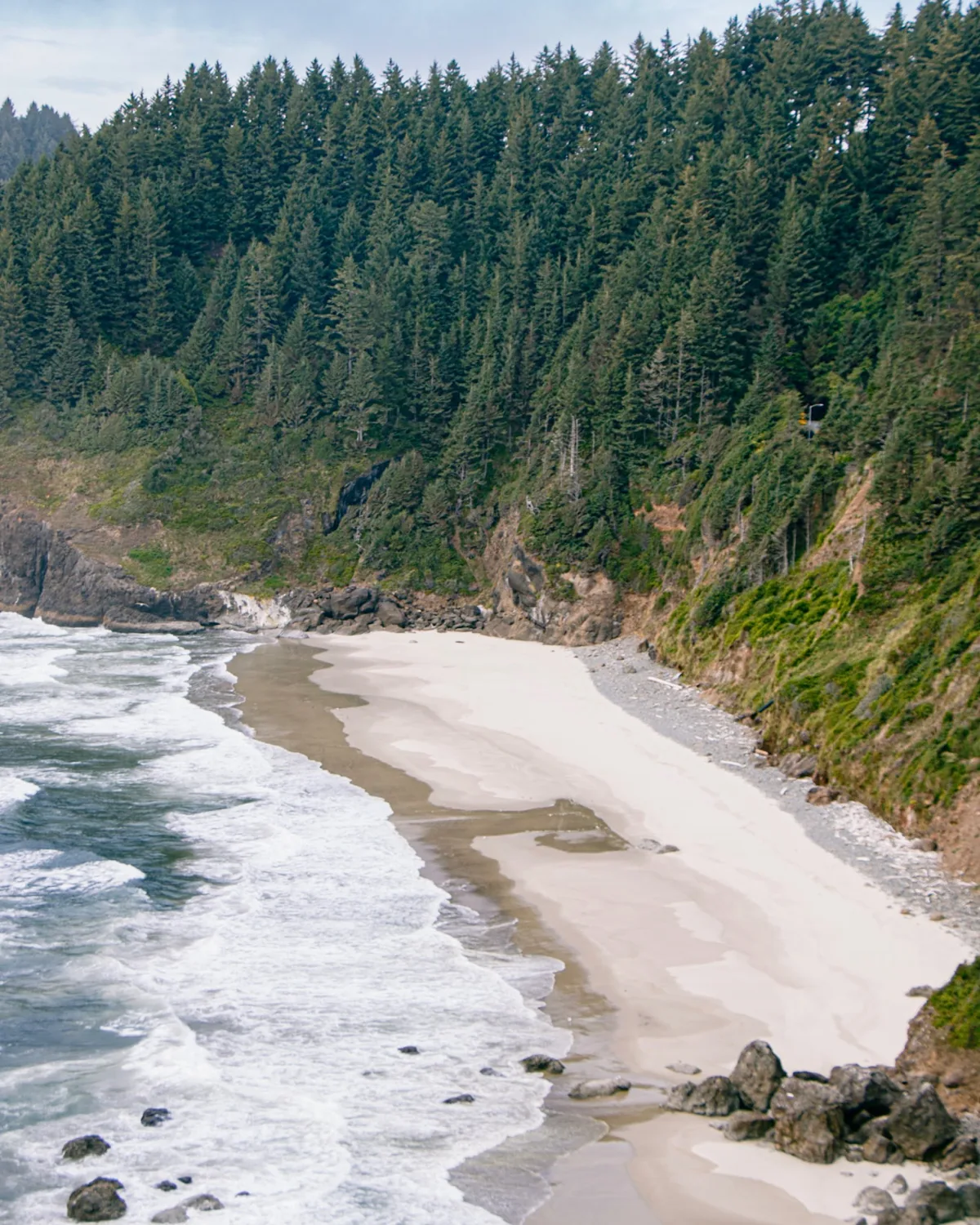 Evergreen-covered coastline above the ocean.
