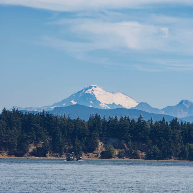 A distant snow-covered peak above wooded shoreline and blue water